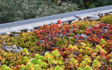 the cost of The Shruggs green roof installation