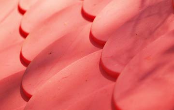 The Shruggs plastic roof costs