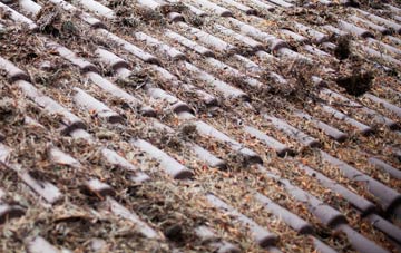 The Shruggs roof cleaning companies