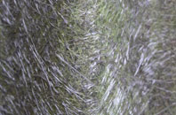 The Shruggs fibreglass roof work