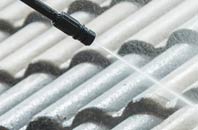 rated The Shruggs roof cleaning companies